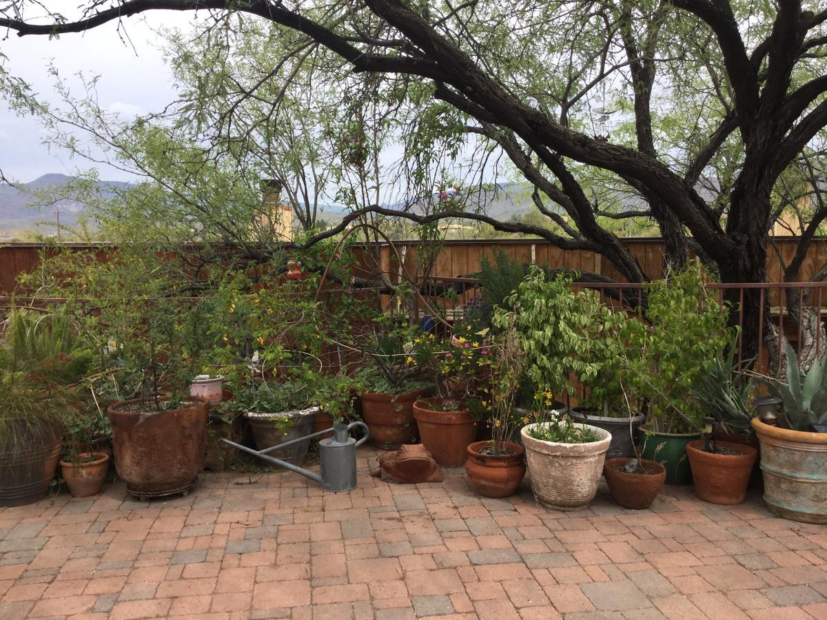 Spur Cross Inn Cave Creek Buitenkant foto